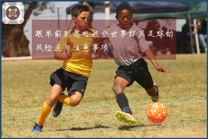 跟单前别忽略这些世界杯买足球的风险点与注意事项