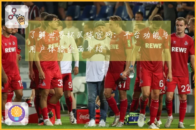 了解世界杯买球官网：平台功能与用户体验全面介绍