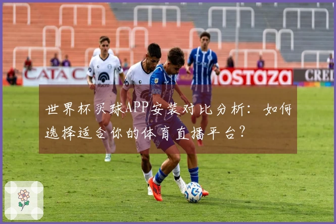 世界杯买球APP安装对比分析：如何选择适合你的体育直播平台？