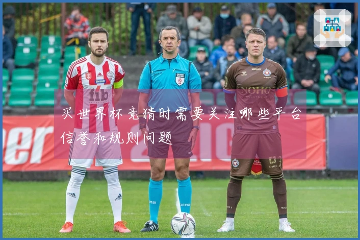 买世界杯竞猜时需要关注哪些平台信誉和规则问题