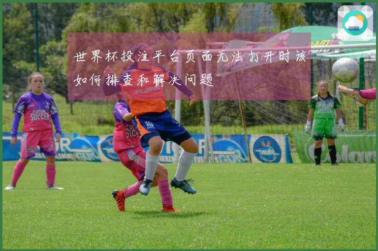 世界杯投注平台页面无法打开时该如何排查和解决问题