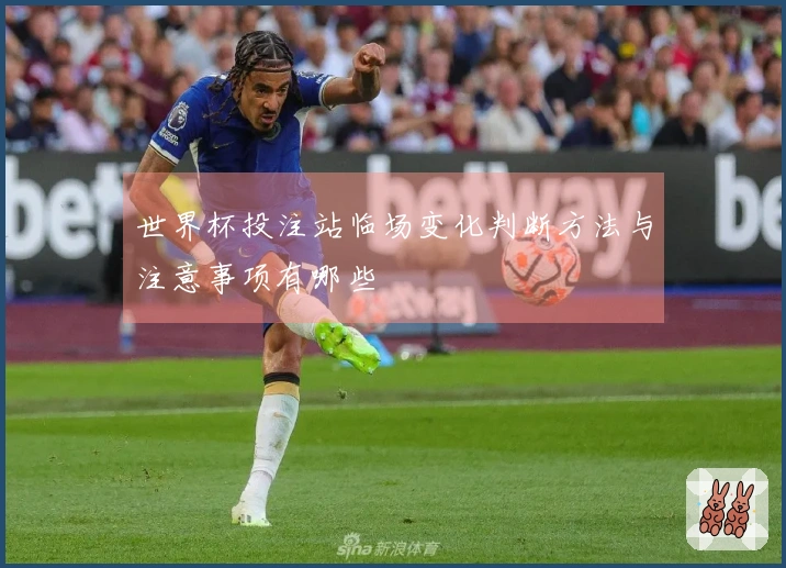 世界杯投注站临场变化判断方法与注意事项有哪些