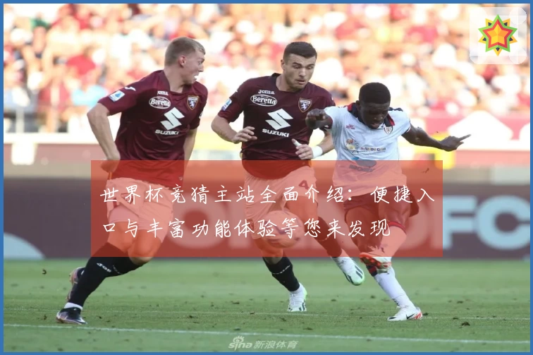 世界杯竞猜主站全面介绍：便捷入口与丰富功能体验等您来发现