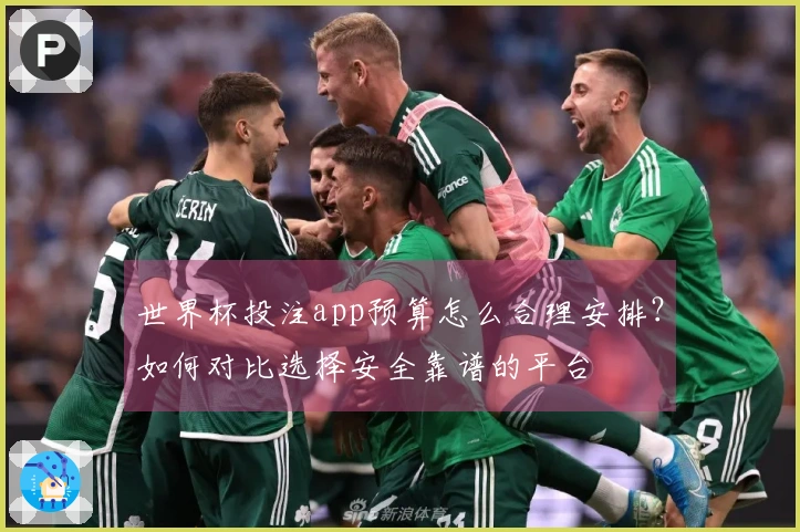 世界杯投注app预算怎么合理安排？如何对比选择安全靠谱的平台