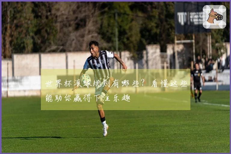 世界杯滚球规则有哪些?看懂这些能助你赢得下注乐趣