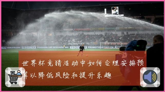 世界杯竞猜活动中如何合理安排预算以降低风险和提升乐趣