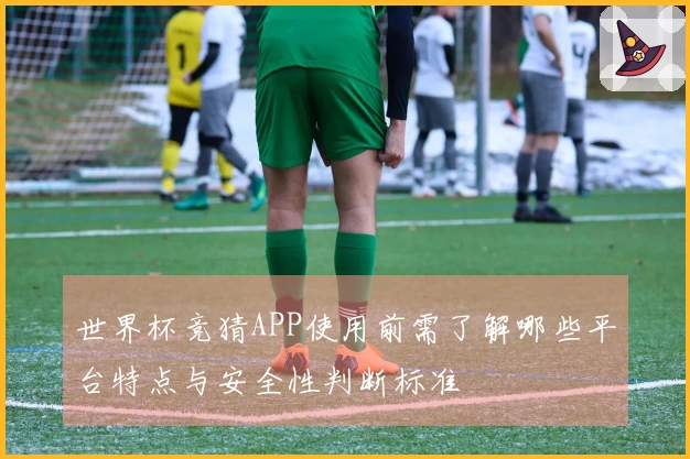 世界杯竞猜APP使用前需了解哪些平台特点与安全性判断标准