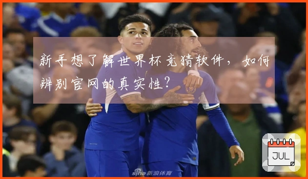 新手想了解世界杯竞猜软件，如何辨别官网的真实性？