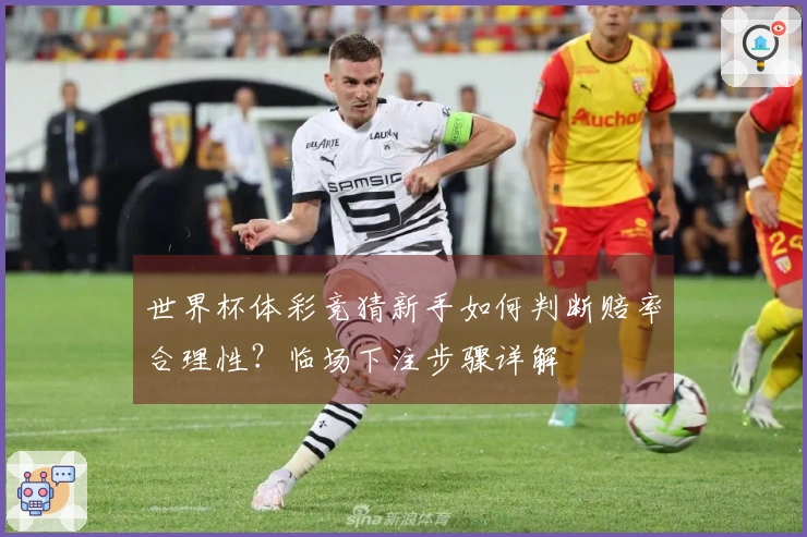 世界杯体彩竞猜新手如何判断赔率合理性？临场下注步骤详解