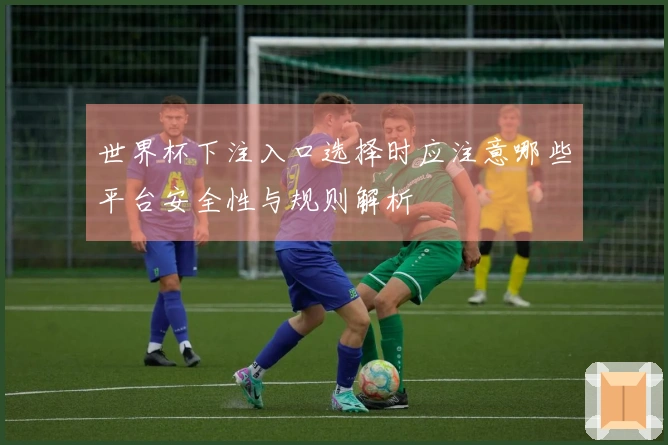 世界杯下注入口选择时应注意哪些平台安全性与规则解析