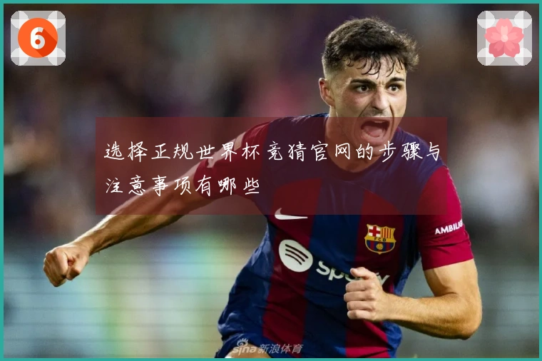 选择正规世界杯竞猜官网的步骤与注意事项有哪些
