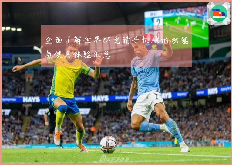 全面了解世界杯竞猜手机端的功能与使用体验汇总