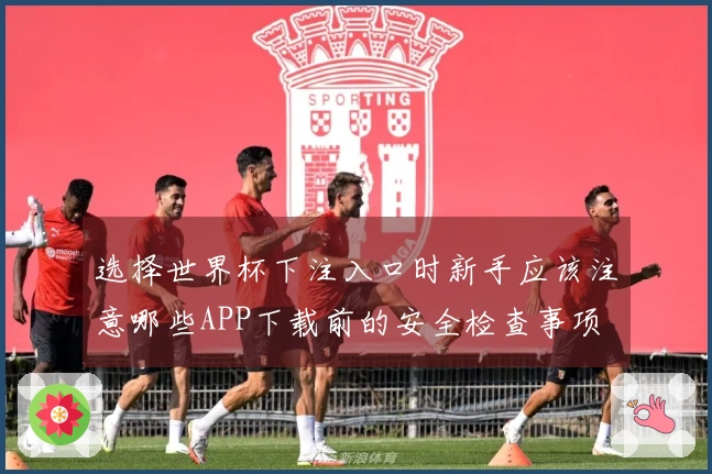 选择世界杯下注入口时新手应该注意哪些APP下载前的安全检查事项