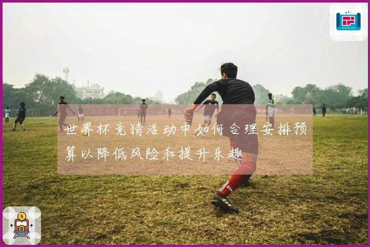 世界杯竞猜活动中如何合理安排预算以降低风险和提升乐趣